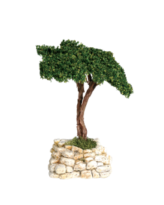 Pine tree