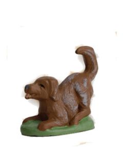 Playing dog