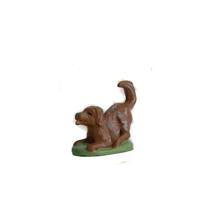 Playing dog